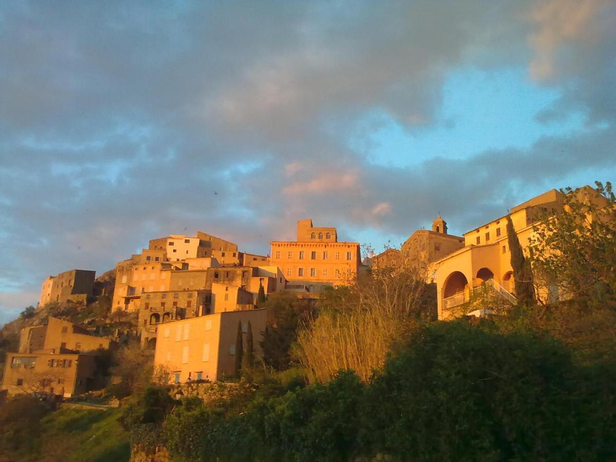 Vacancorse Maison U Canale Vakantiehuis