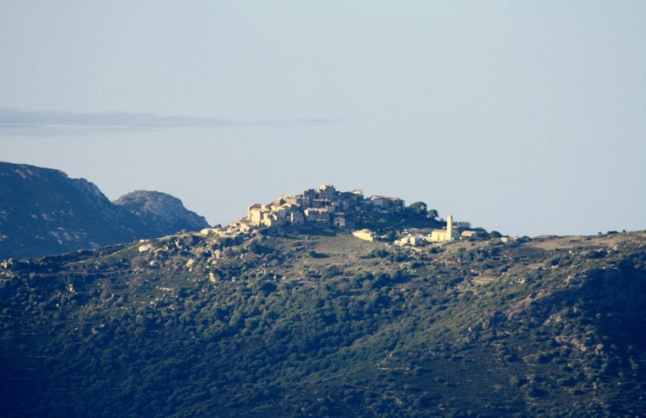 Vacancorse Maison U Canale * Speloncato (Corsica)