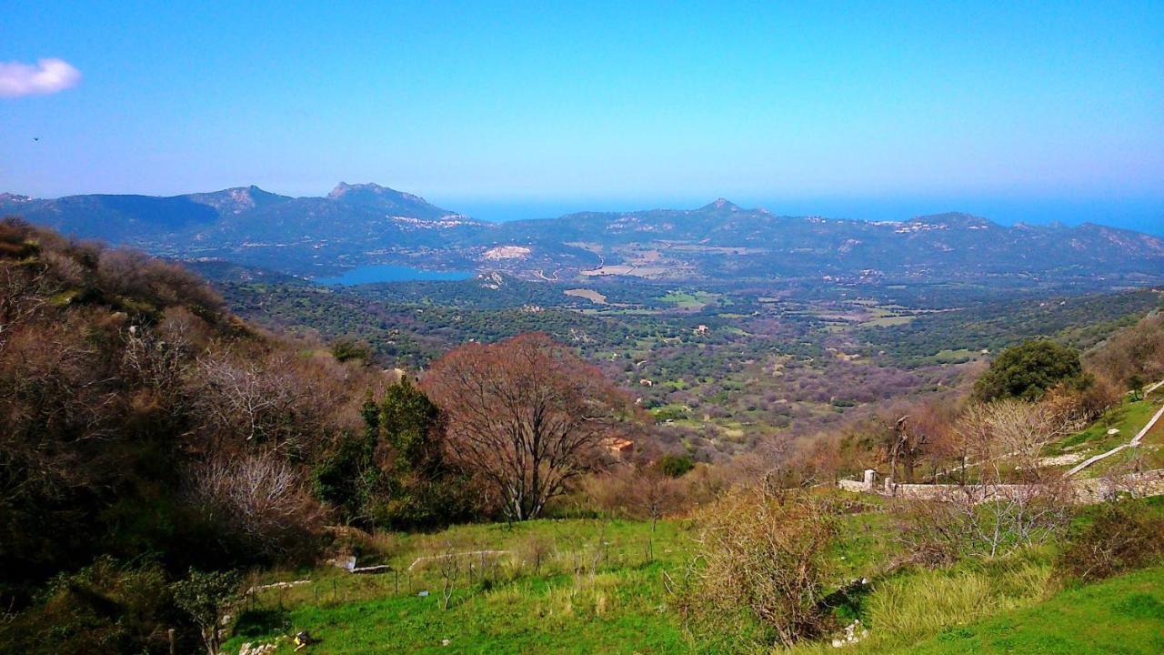 Vacancorse Maison U Canale Speloncato (Corsica)