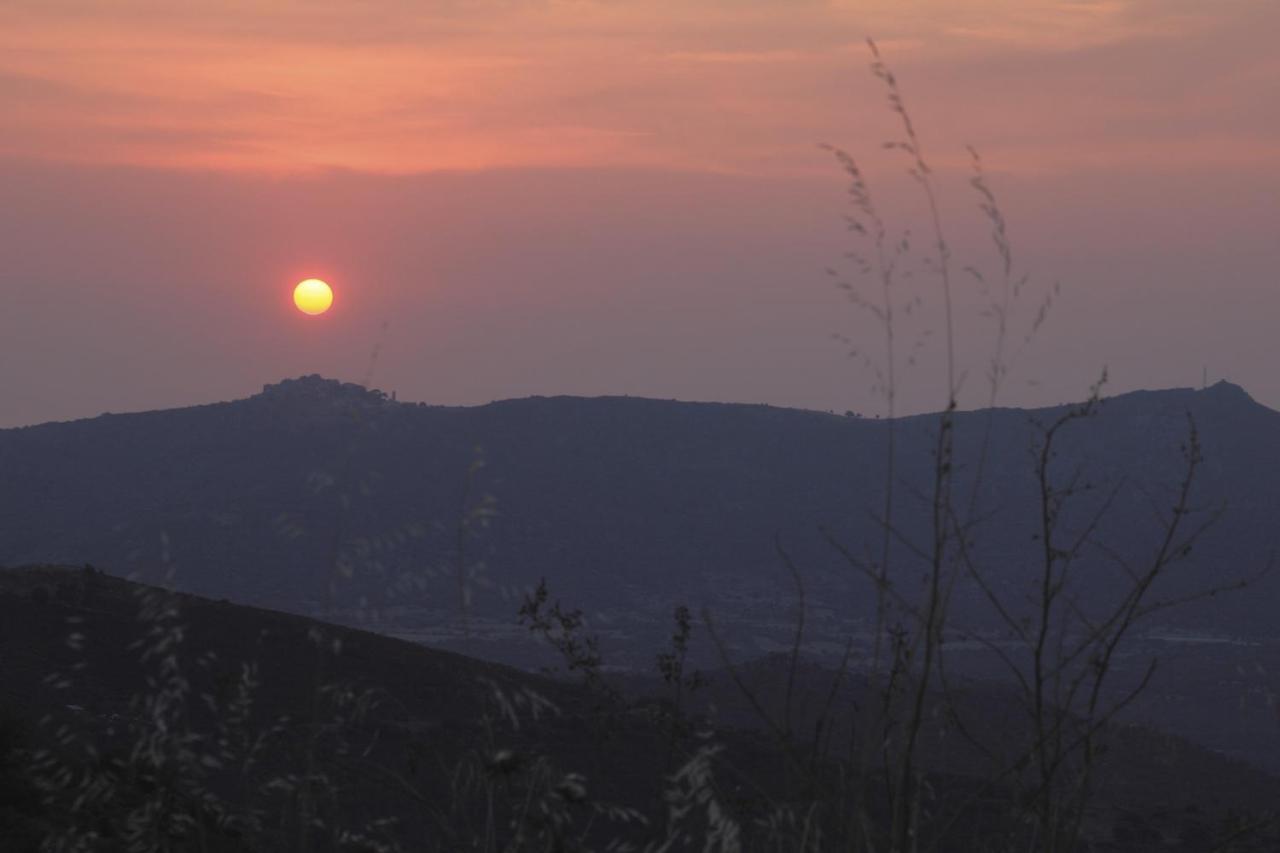 Holiday home Vacancorse Maison U Canale