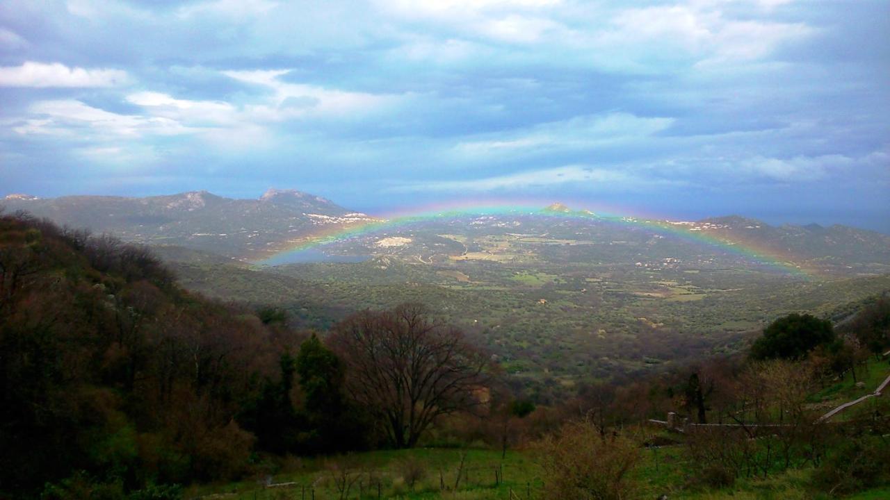 Casa de Férias Vacancorse Maison U Canale