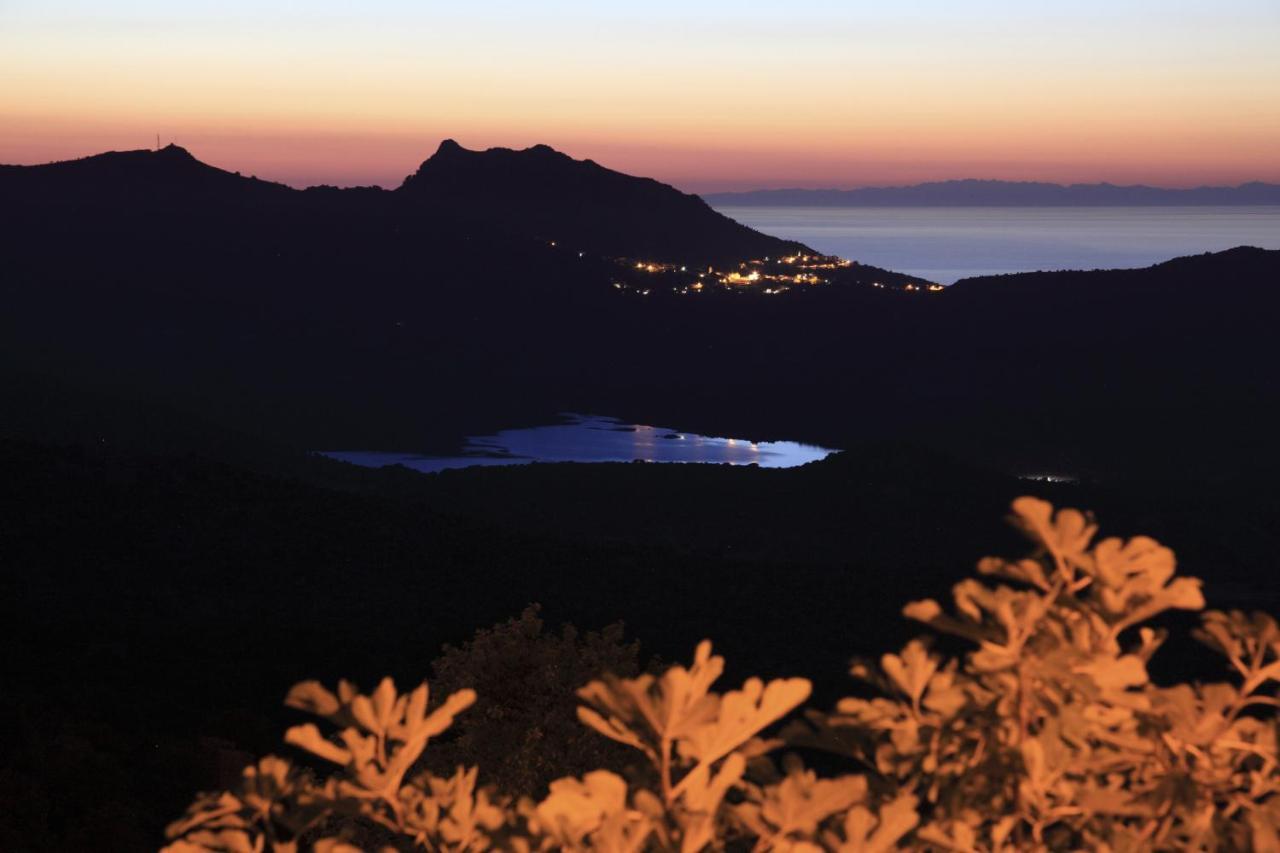 Vacancorse Maison U Canale Vakantiehuis *