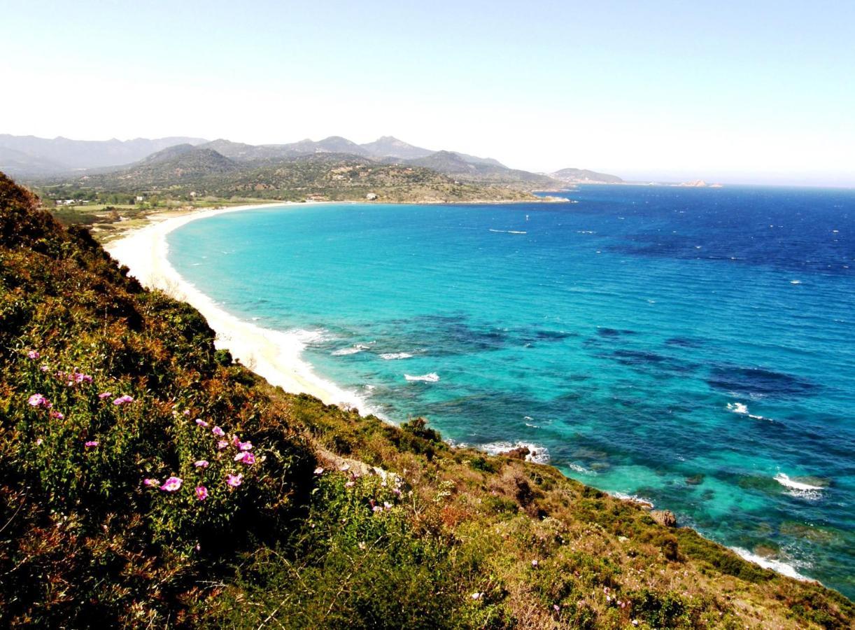 Vacancorse Maison U Canale Holiday home Speloncato (Corsica)