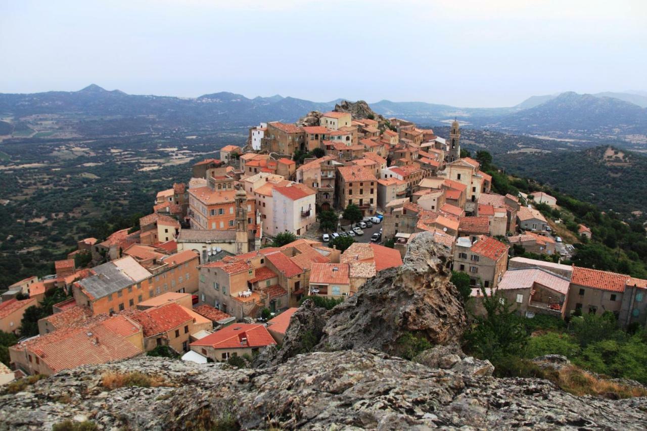 Holiday home Vacancorse Maison U Canale *